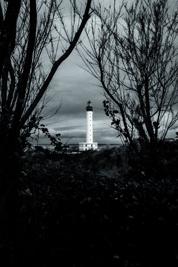 Dos árboles desnudos abren una ventana oscura hacia el faro, iluminado bajo un cielo de tormenta.
