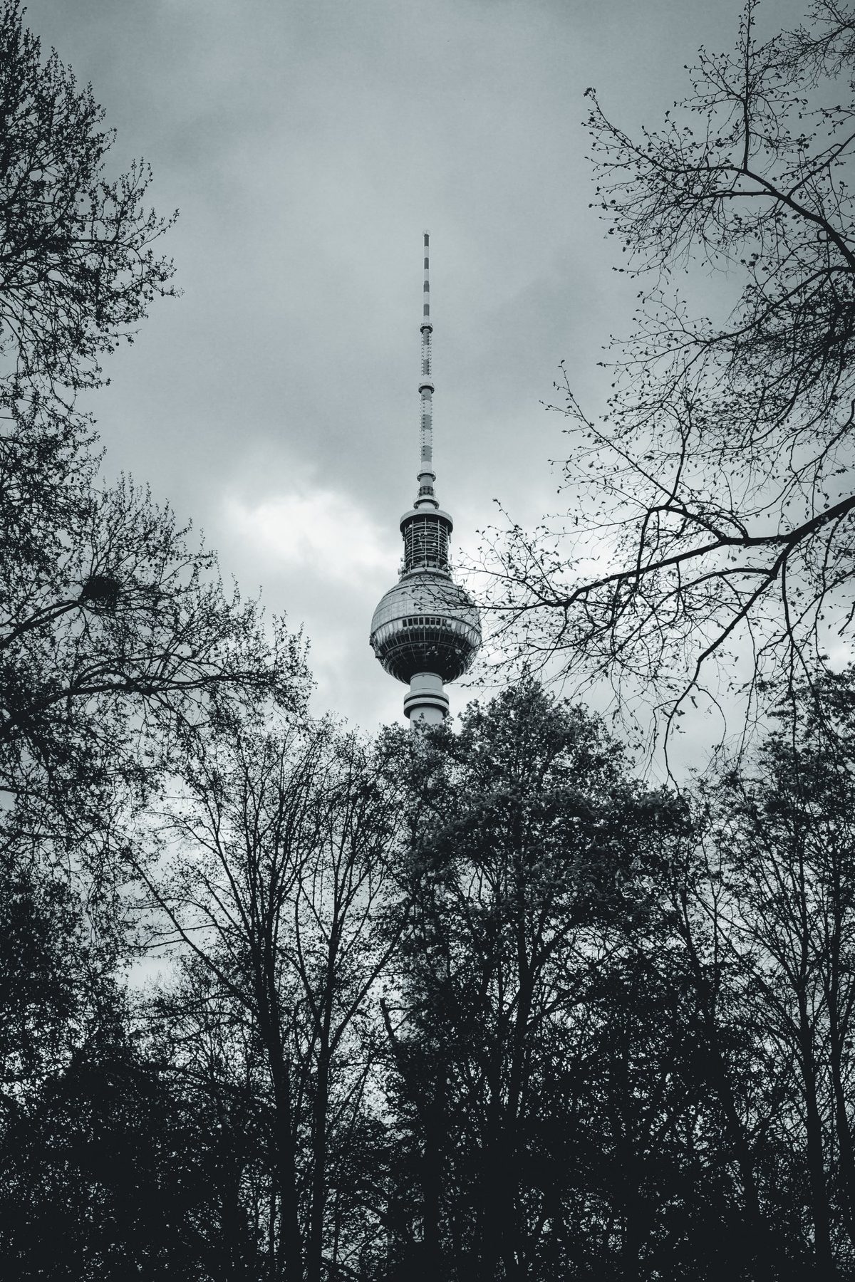 La Torre de Televisión de Alexanderplatz enmarcada por árboles todavía desnudos.