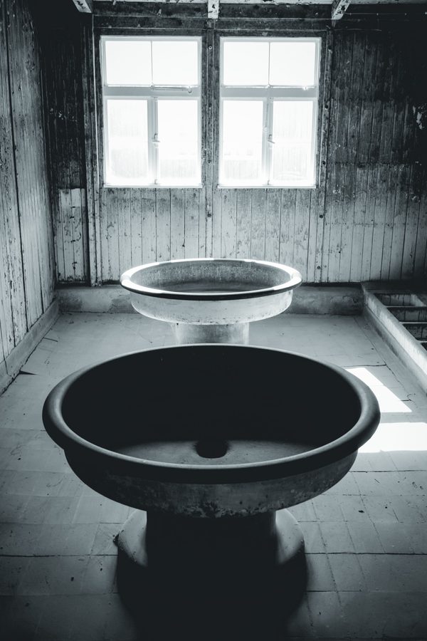 Las fuentes circulares de los lavabos de un barracón, a contraluz.